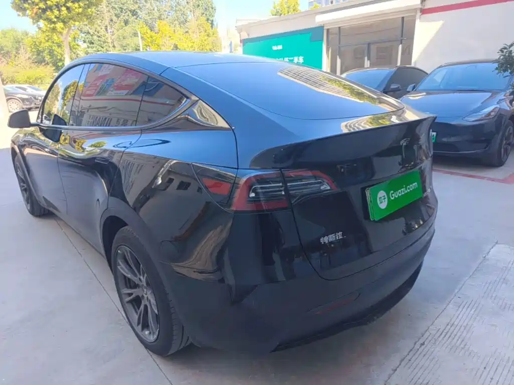 Tesla Model Y — фото 5