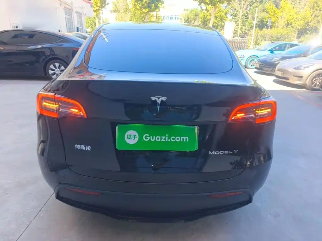 Tesla Model Y — фото 6