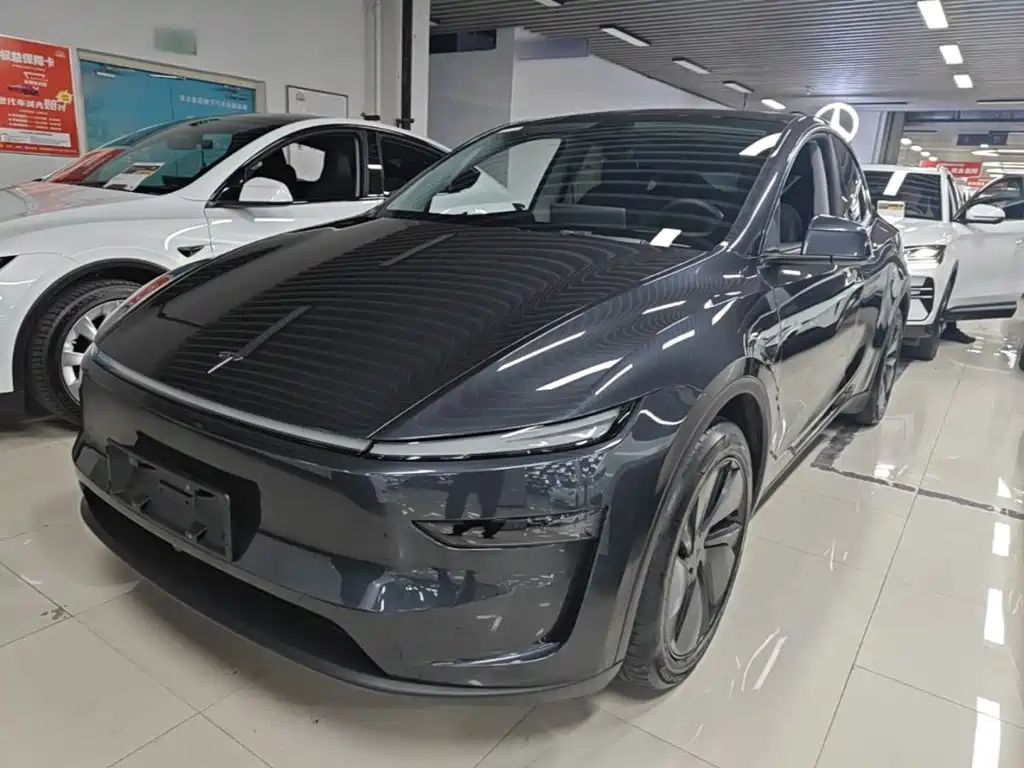 Tesla Model Y — фото 2