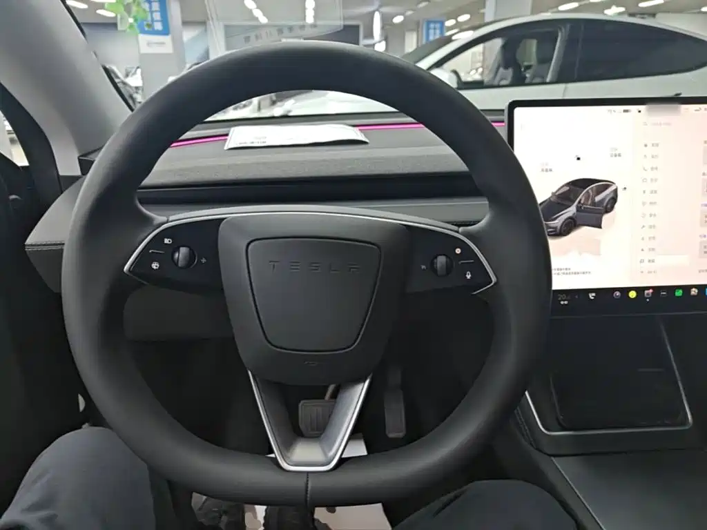 Tesla Model Y — фото 11