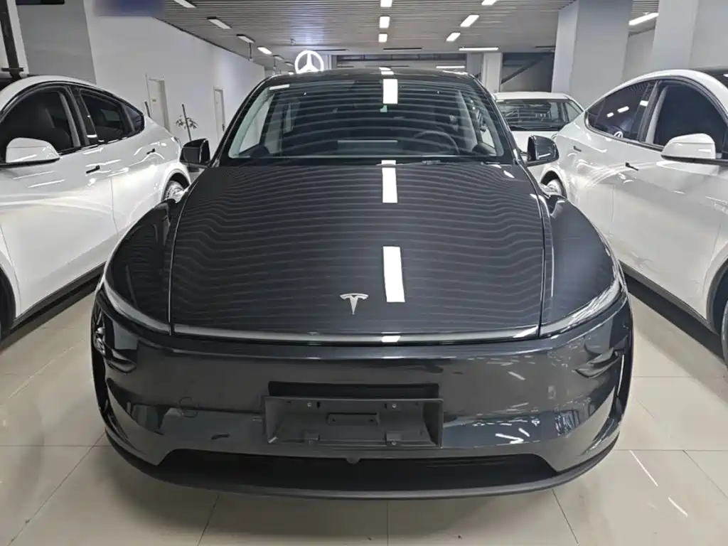 Tesla Model Y — фото 3