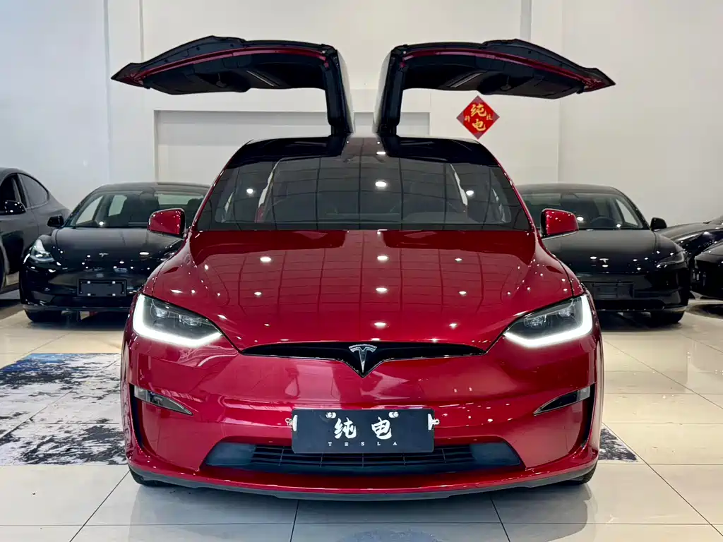 Tesla Model X — фото 2