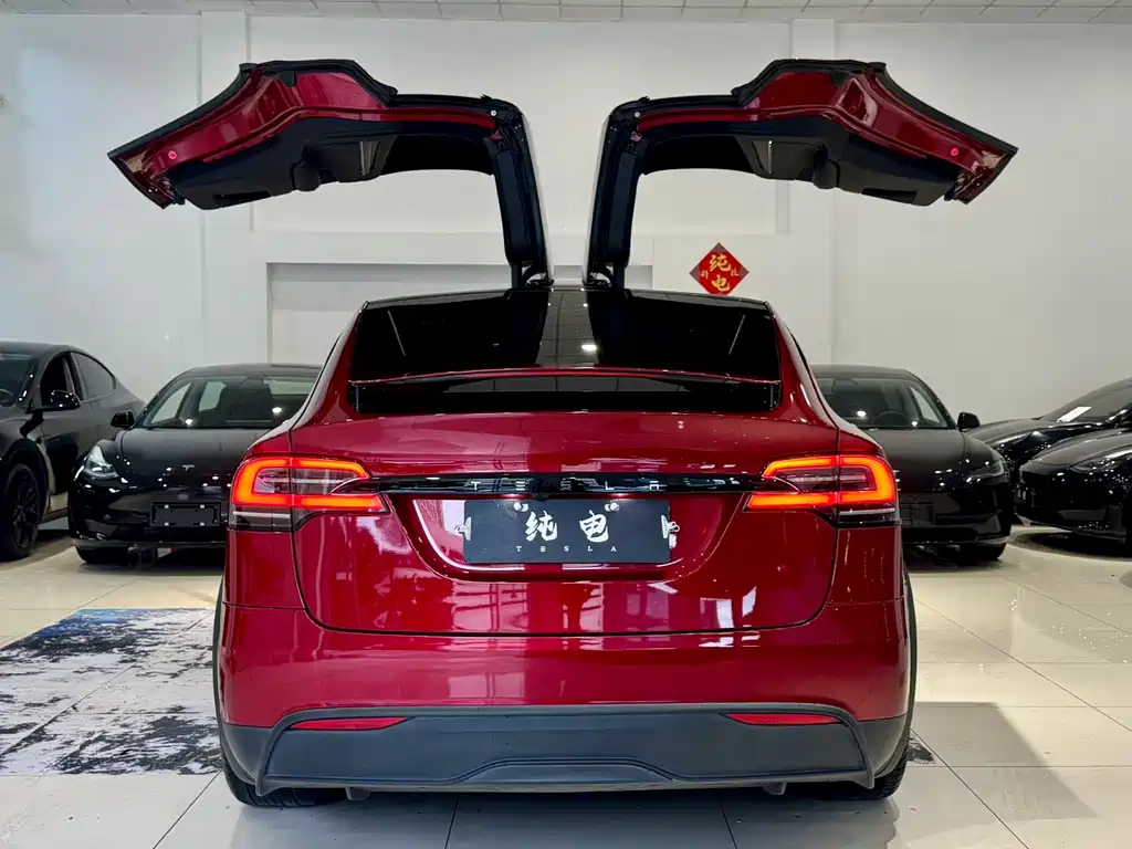 Tesla Model X — фото 17