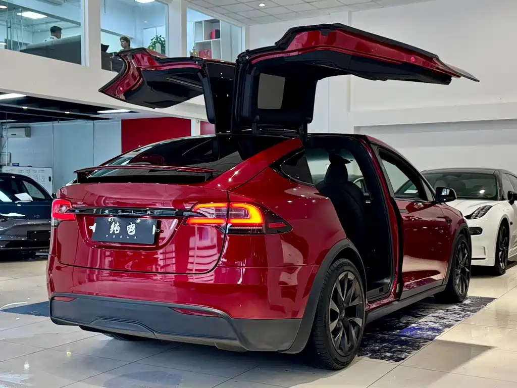 Tesla Model X — фото 18