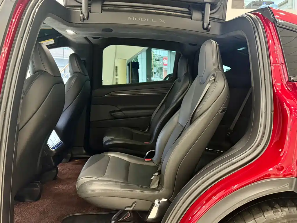 Tesla Model X — фото 6
