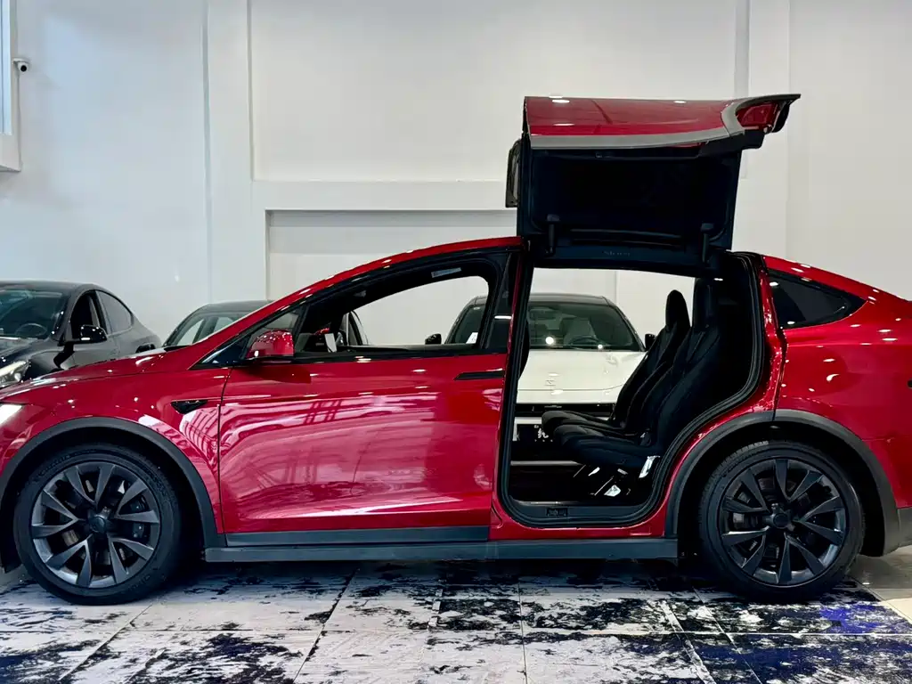 Tesla Model X — фото 7