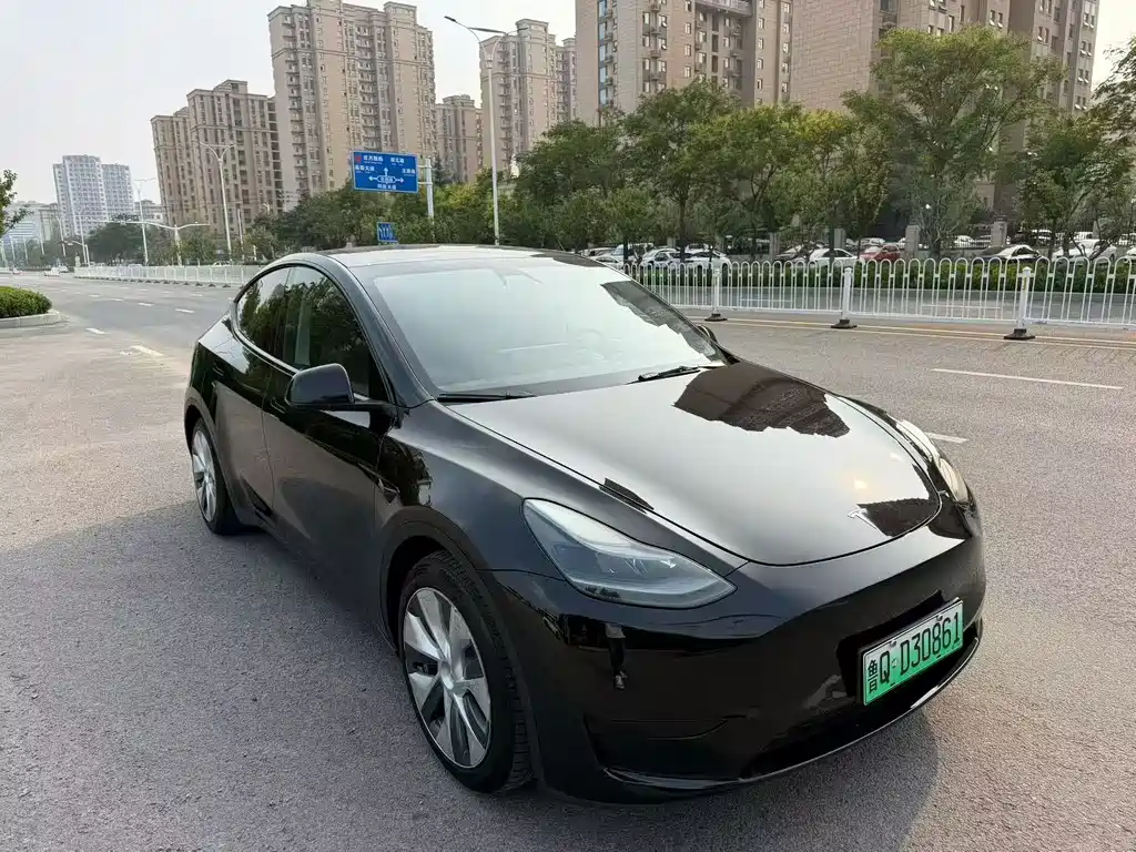 Tesla Model Y — фото 2