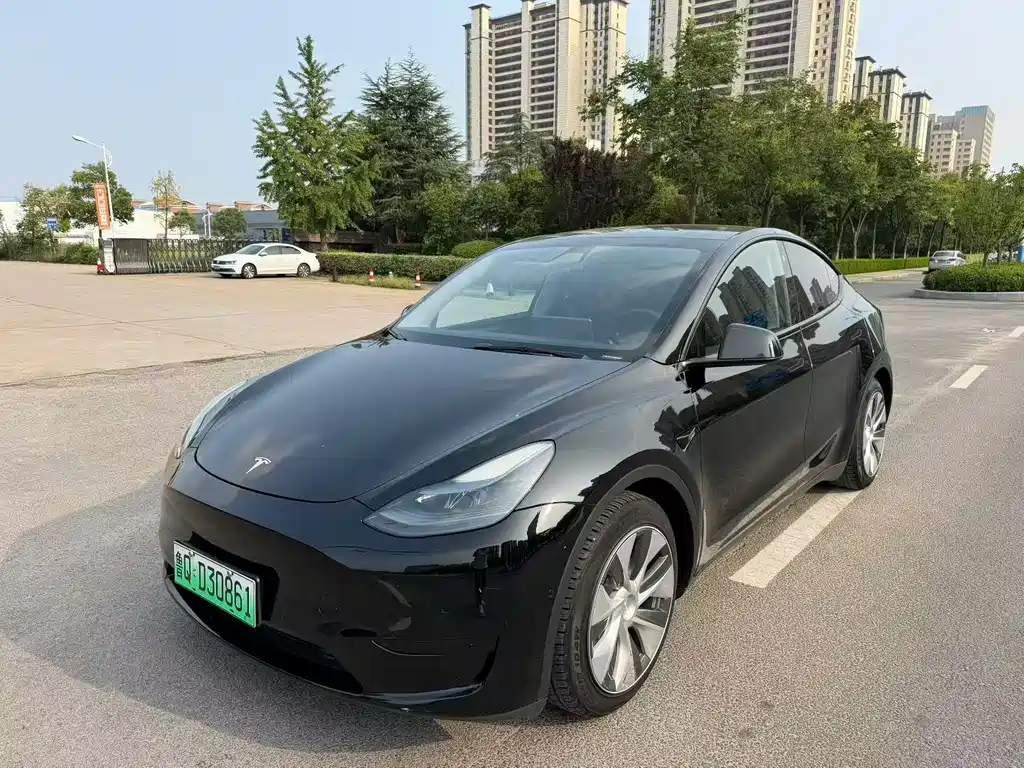 Tesla Model Y — фото 3