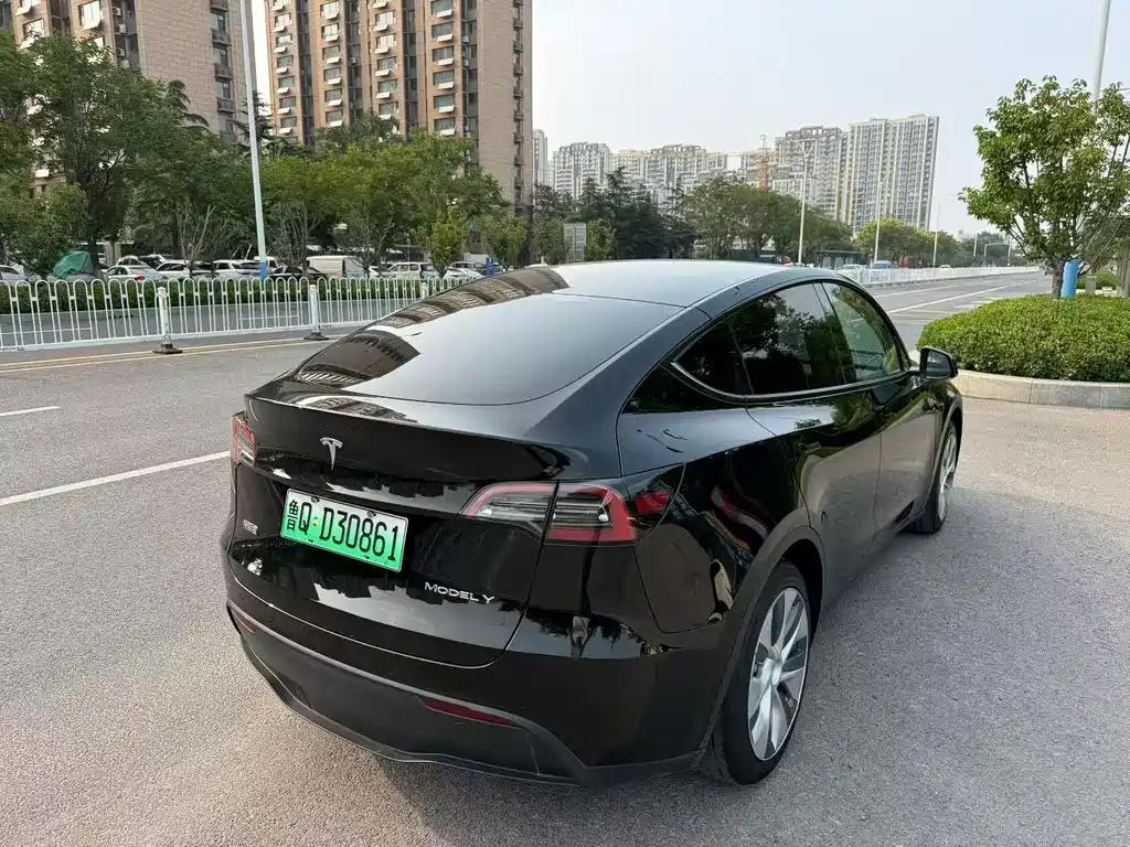 Tesla Model Y — фото 9