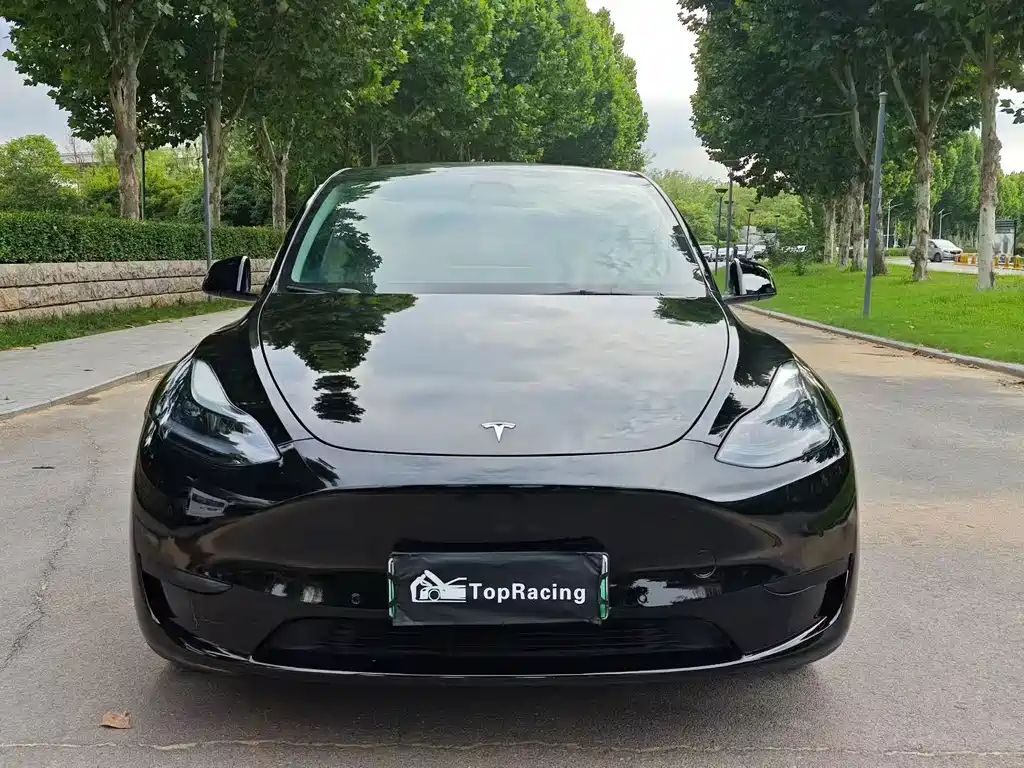 Tesla Model Y — фото 2