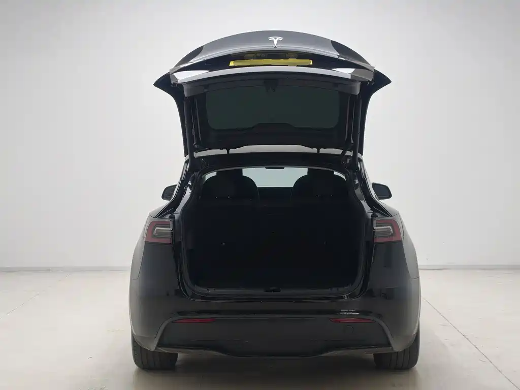 Tesla Model Y — фото 11