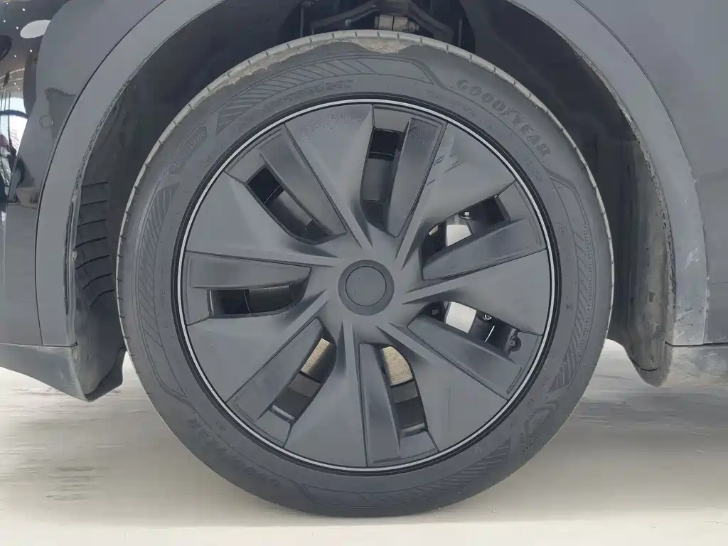 Tesla Model Y — фото 14
