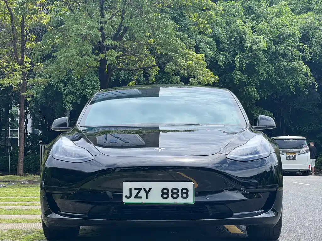 Tesla Model 3 — фото 2