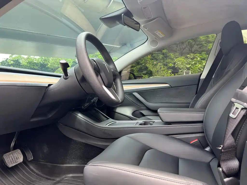 Tesla Model 3 — фото 14