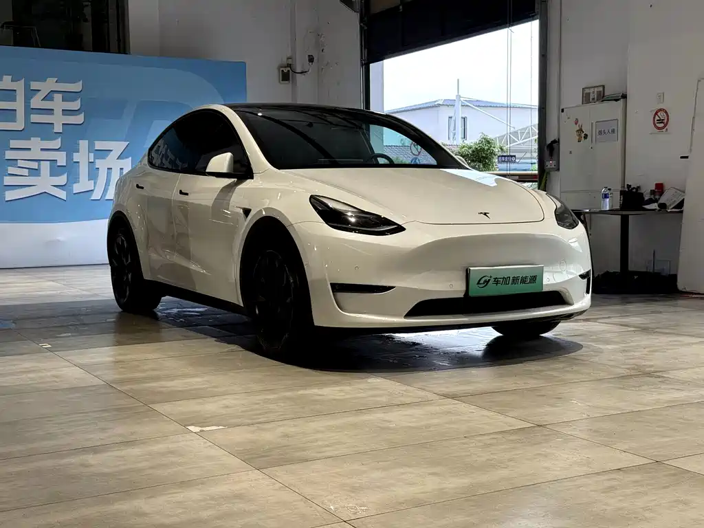 Tesla Model Y — фото 3