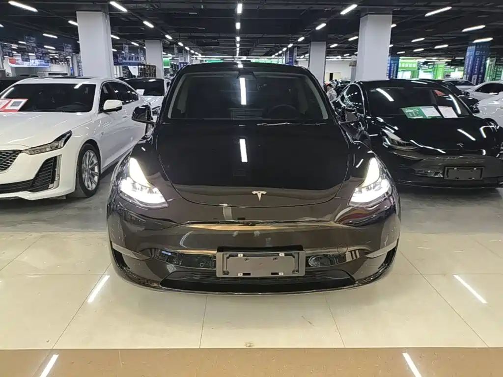Tesla Model Y — фото 3