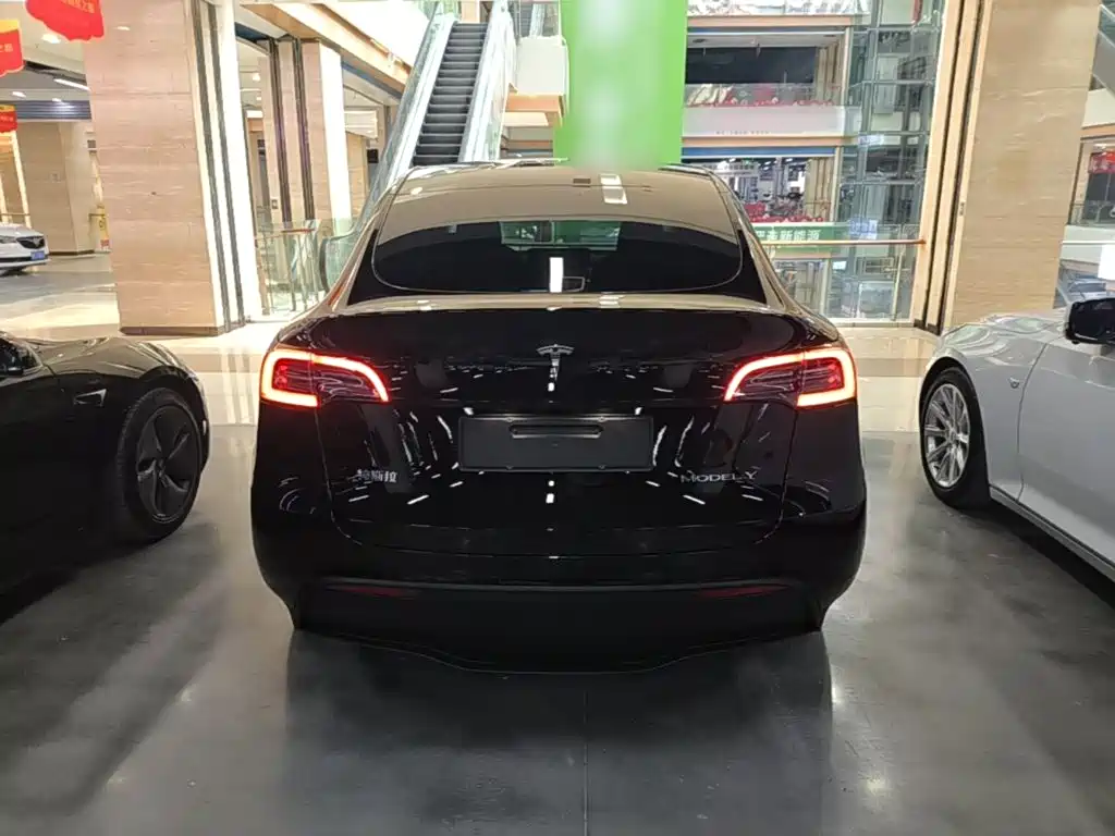 Tesla Model Y — фото 6