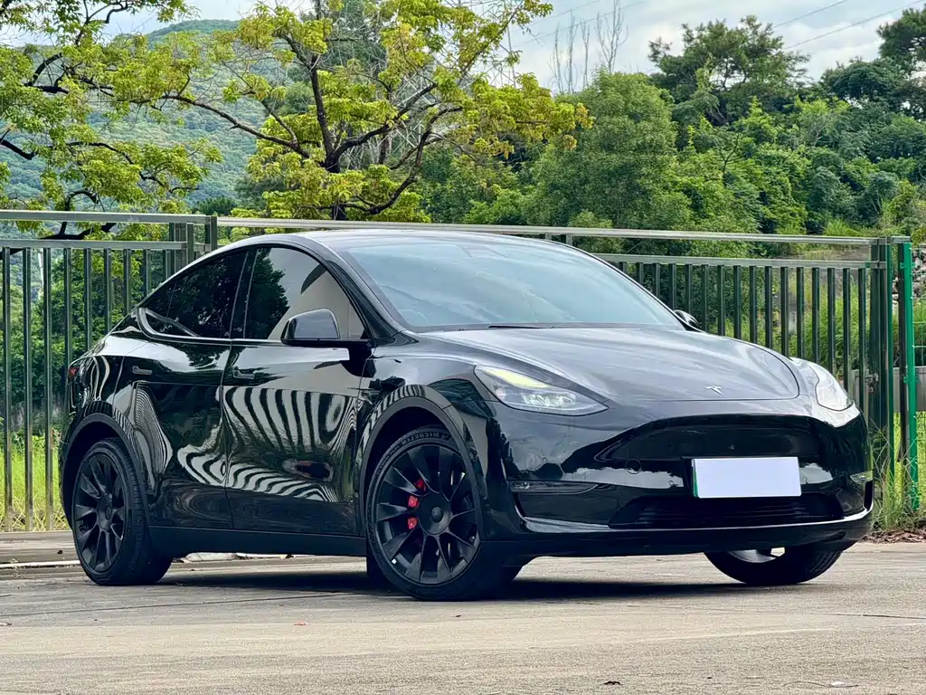 Tesla Model Y — фото 3