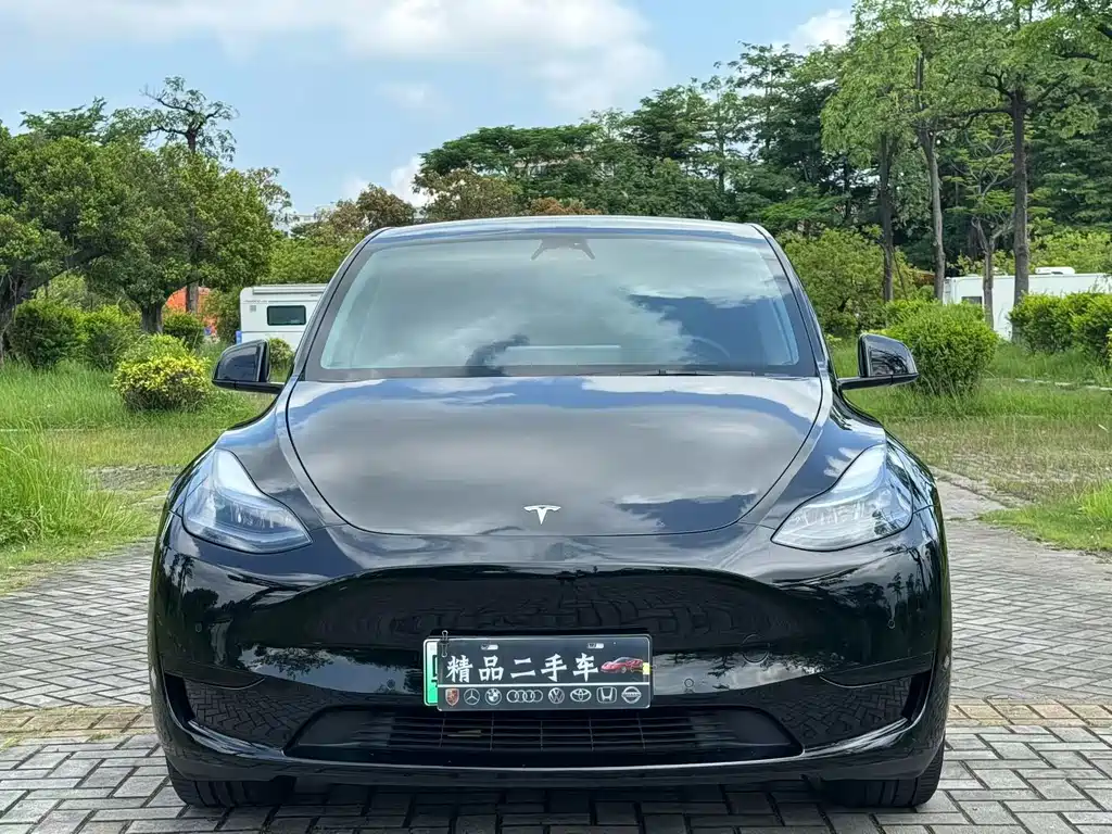 Tesla Model Y — фото 2