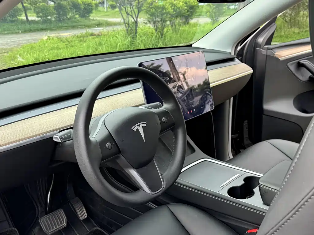 Tesla Model Y — фото 14