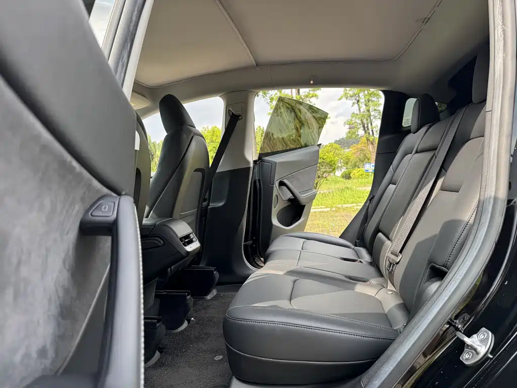 Tesla Model Y — фото 15