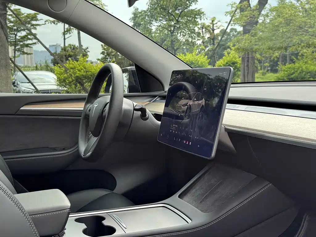 Tesla Model Y — фото 18