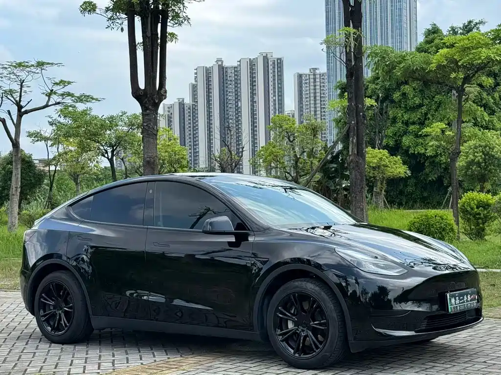 Tesla Model Y — фото 3