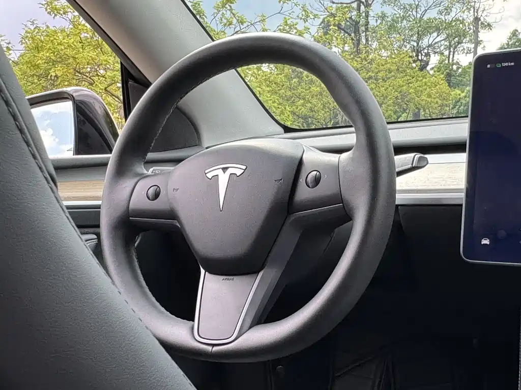 Tesla Model Y — фото 21