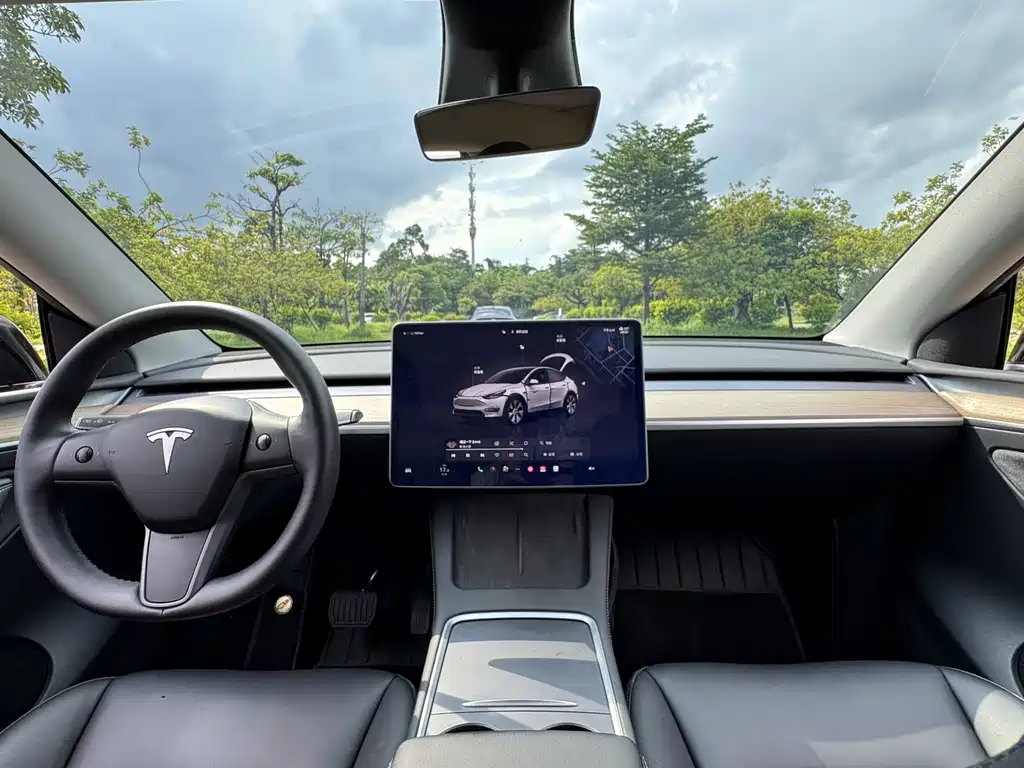Tesla Model Y — фото 9