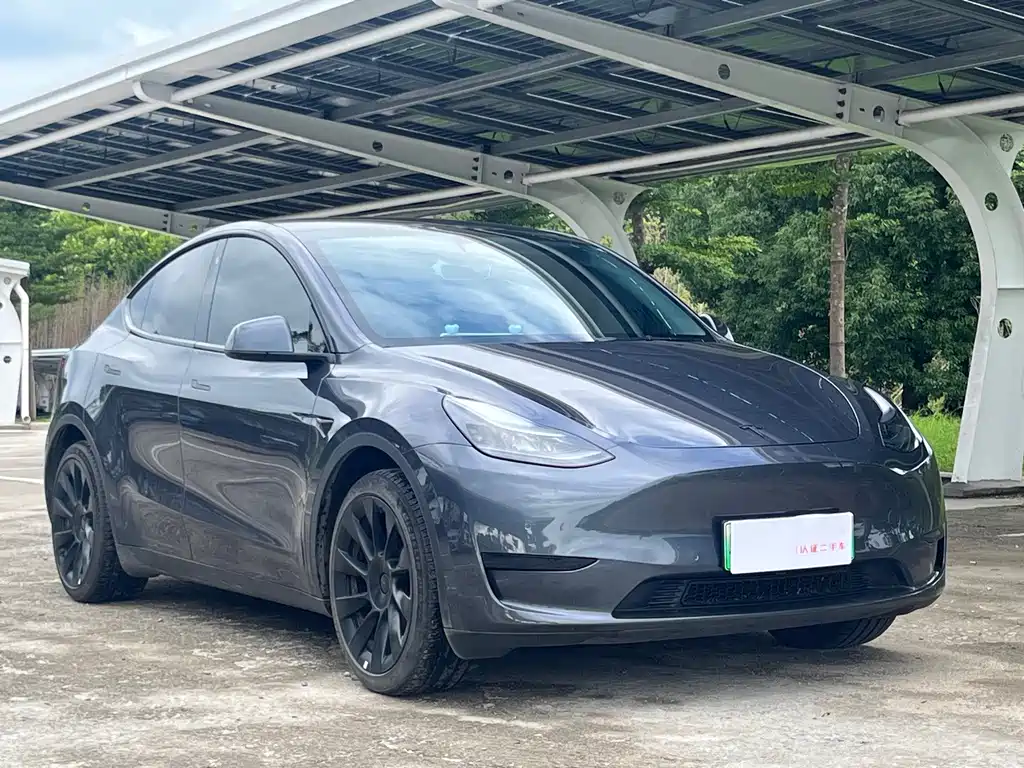 Tesla Model Y — фото 3