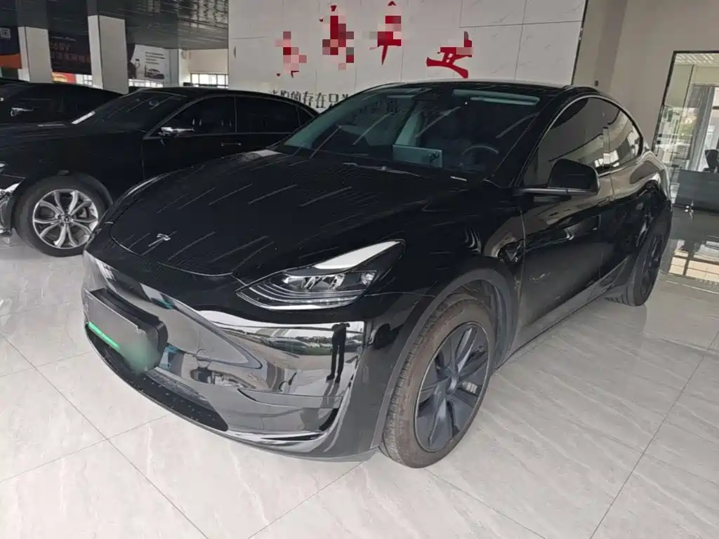 Tesla Model Y — фото 2
