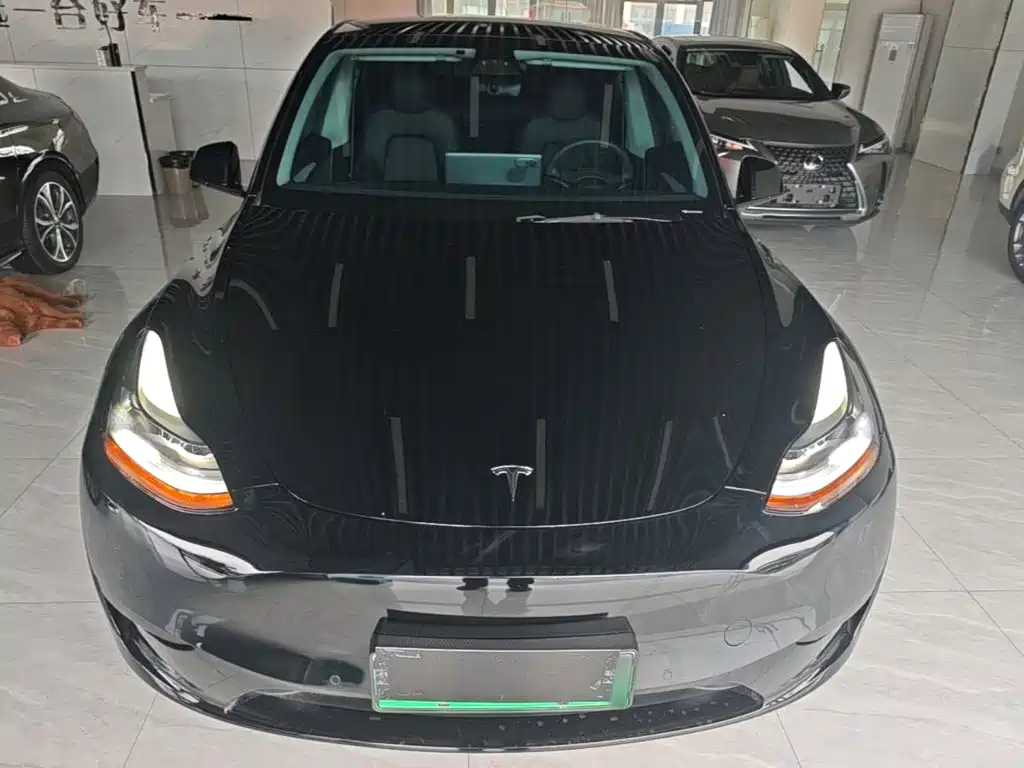 Tesla Model Y — фото 3