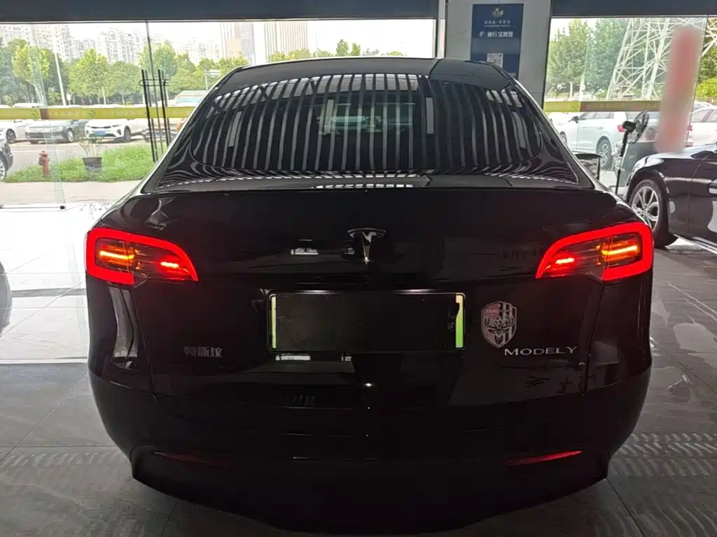 Tesla Model Y — фото 6