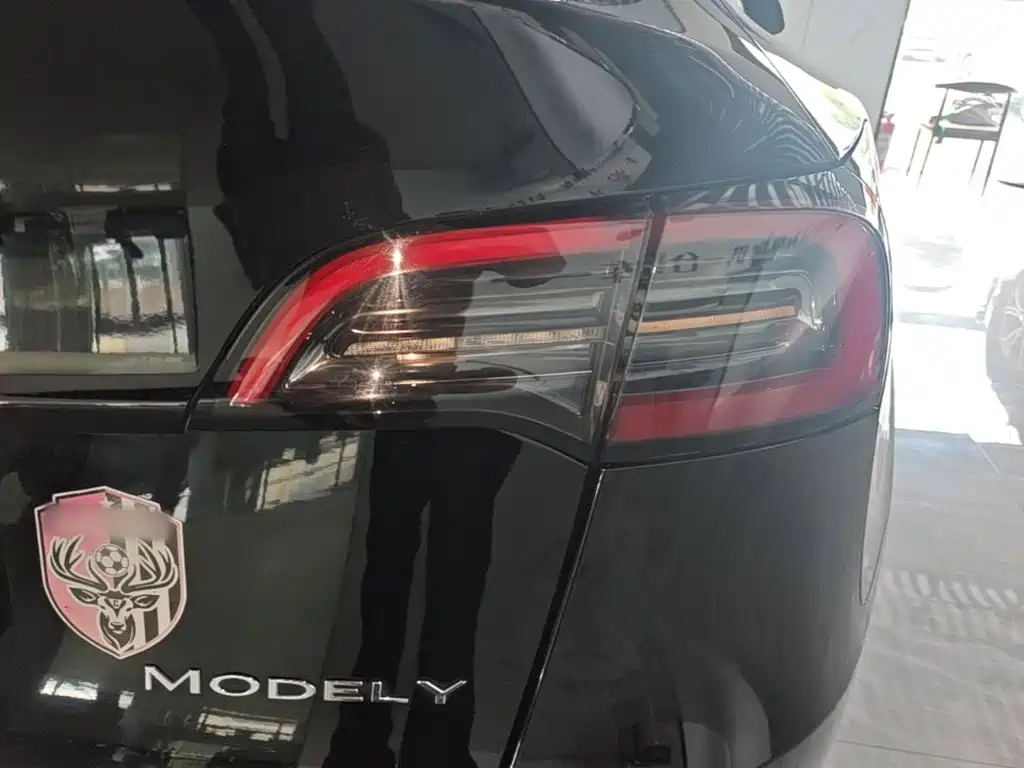 Tesla Model Y — фото 8
