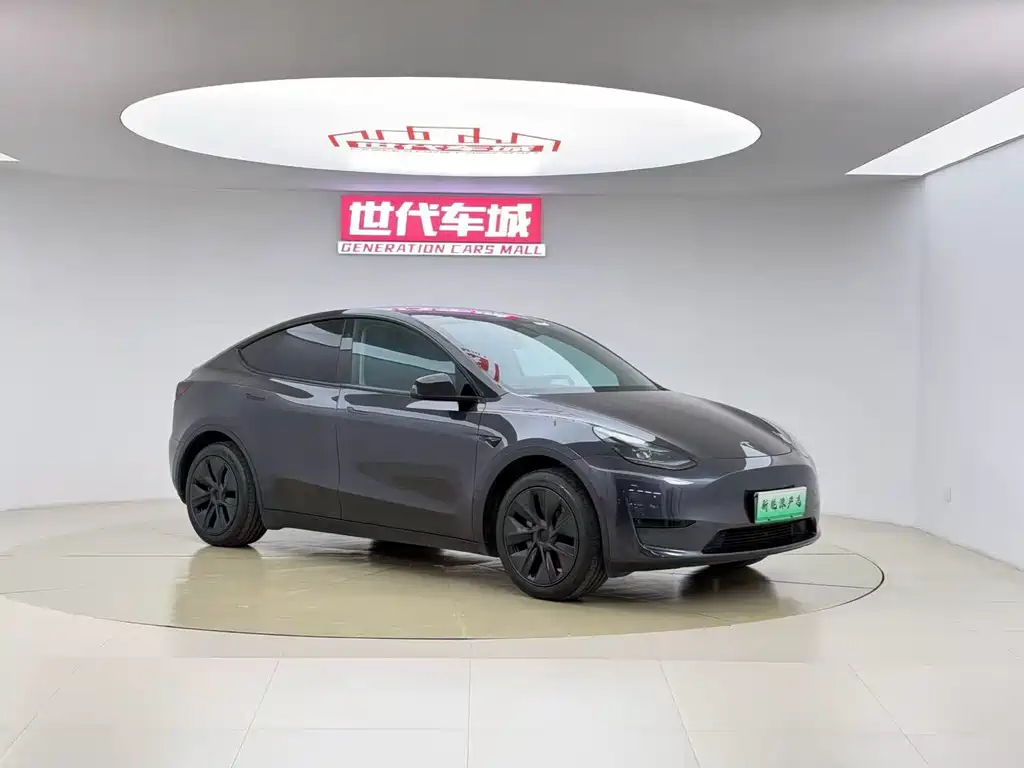 Tesla Model Y — фото 3