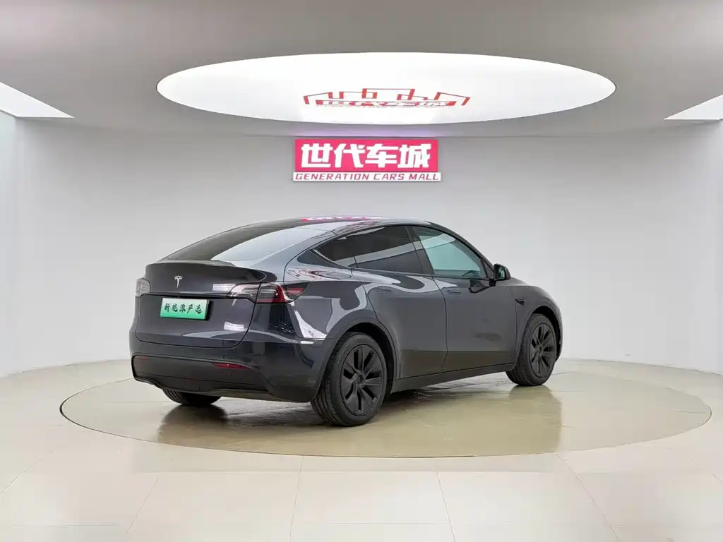 Tesla Model Y — фото 6