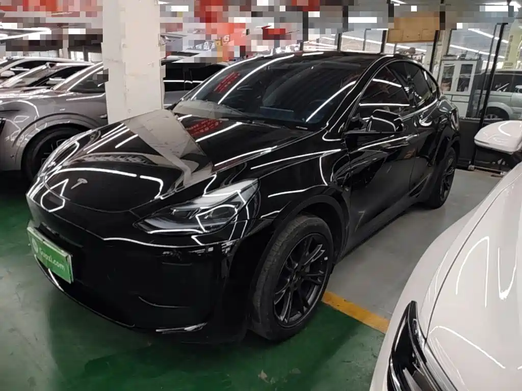 Tesla Model Y — фото 2