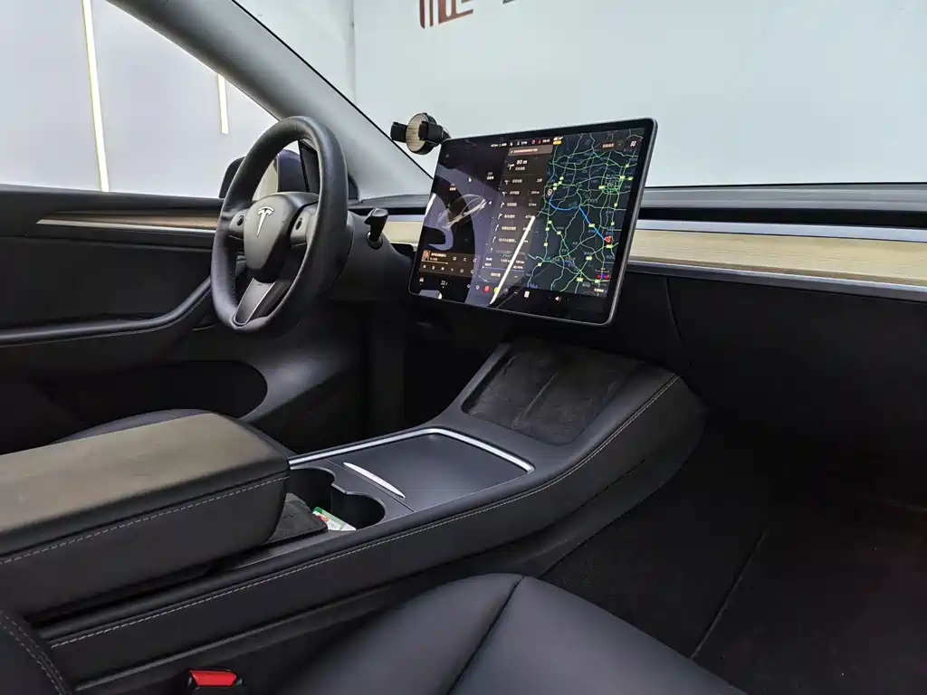 Tesla Model Y — фото 11