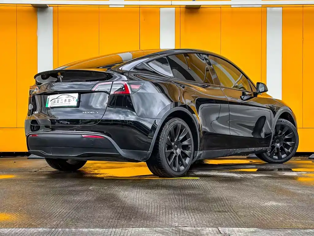 Tesla Model Y — фото 3