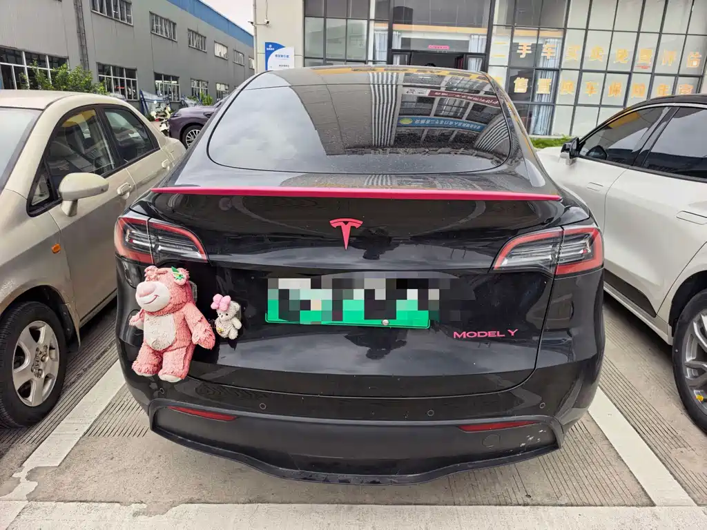 Tesla Model Y — фото 6