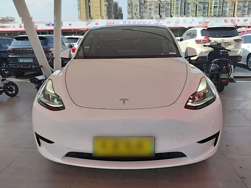Tesla Model Y — фото 3