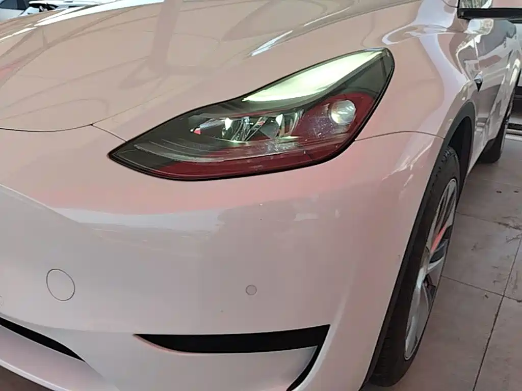 Tesla Model Y — фото 24