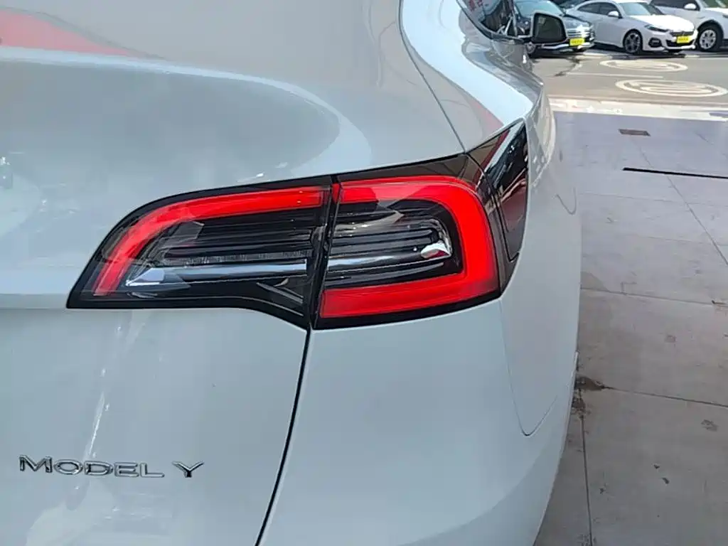 Tesla Model Y — фото 8