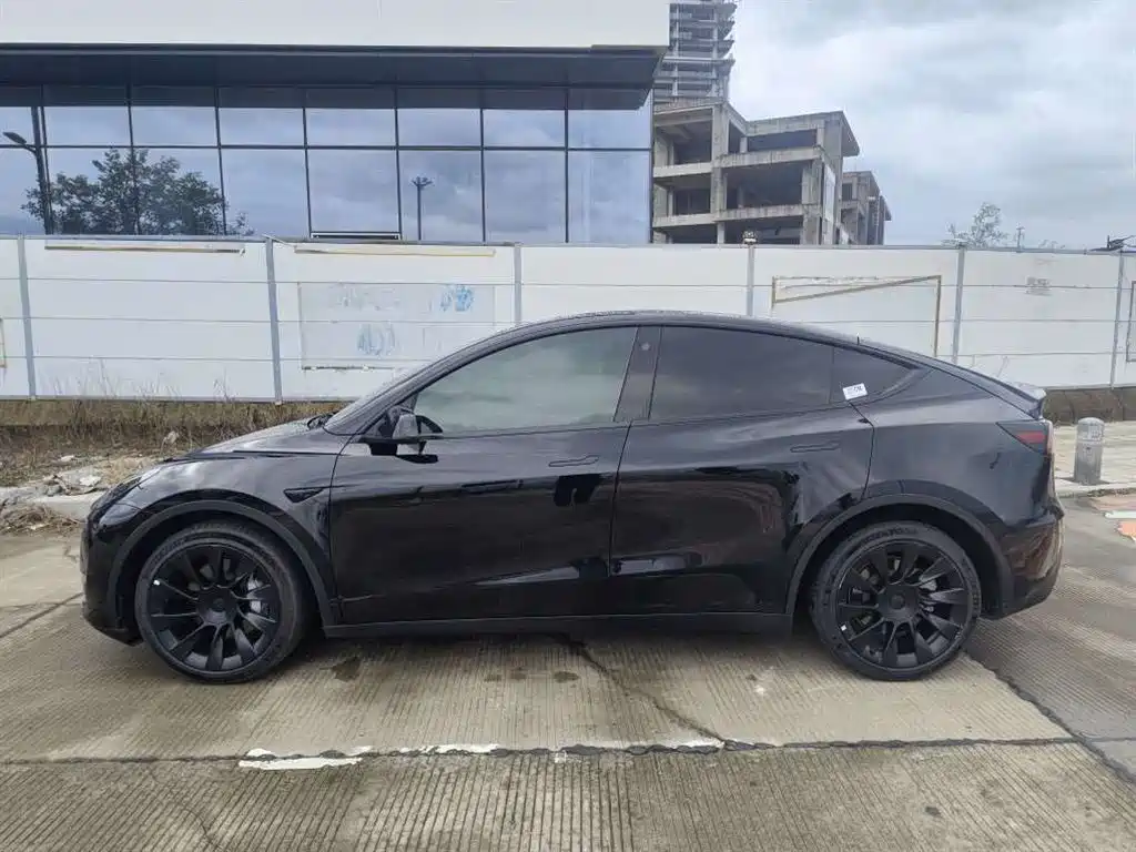 Tesla Model Y — фото 3