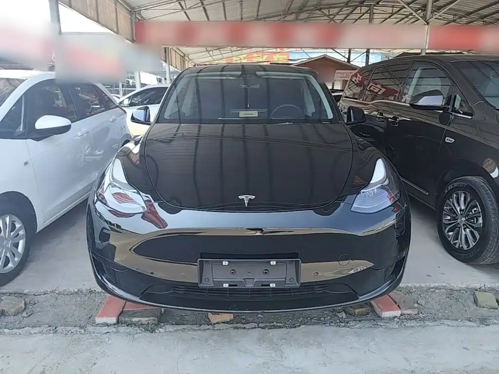 Tesla Model Y — фото 3