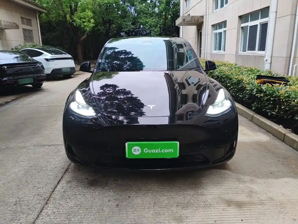 Tesla Model Y — фото 3
