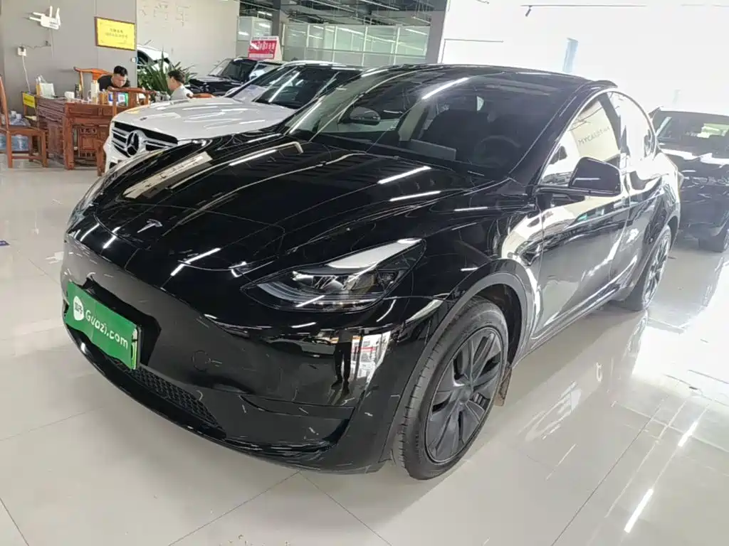 Tesla Model Y — фото 2