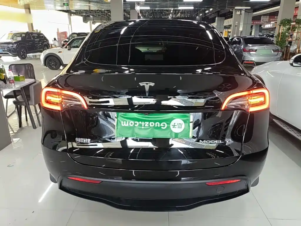 Tesla Model Y — фото 6