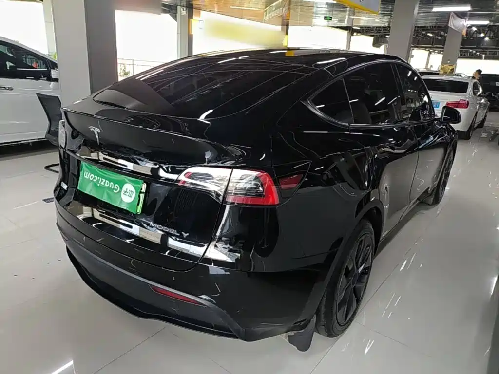 Tesla Model Y — фото 7