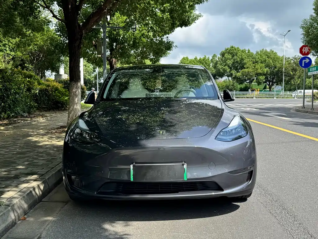 Tesla Model Y — фото 2